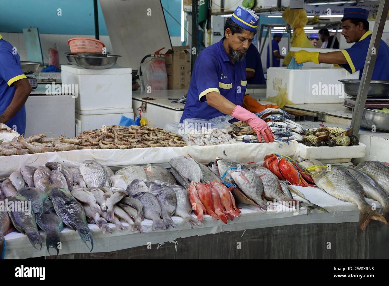 Fresh seafood from the Red Sea on sale at Jeddah Central Fish Market Stock Photo Alamy