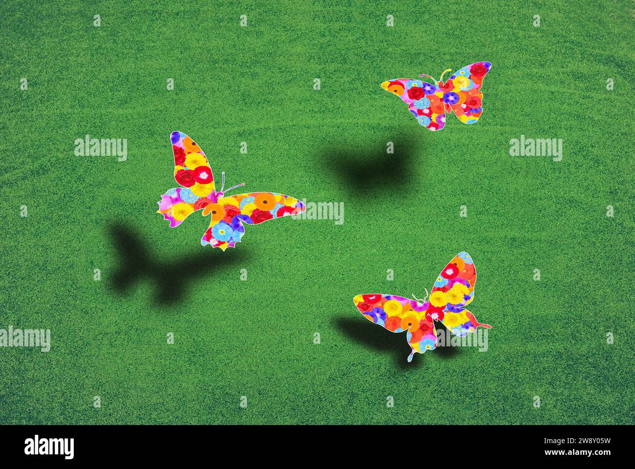 Three colorful butterflies flying over a green lawn. Graphic with ...
