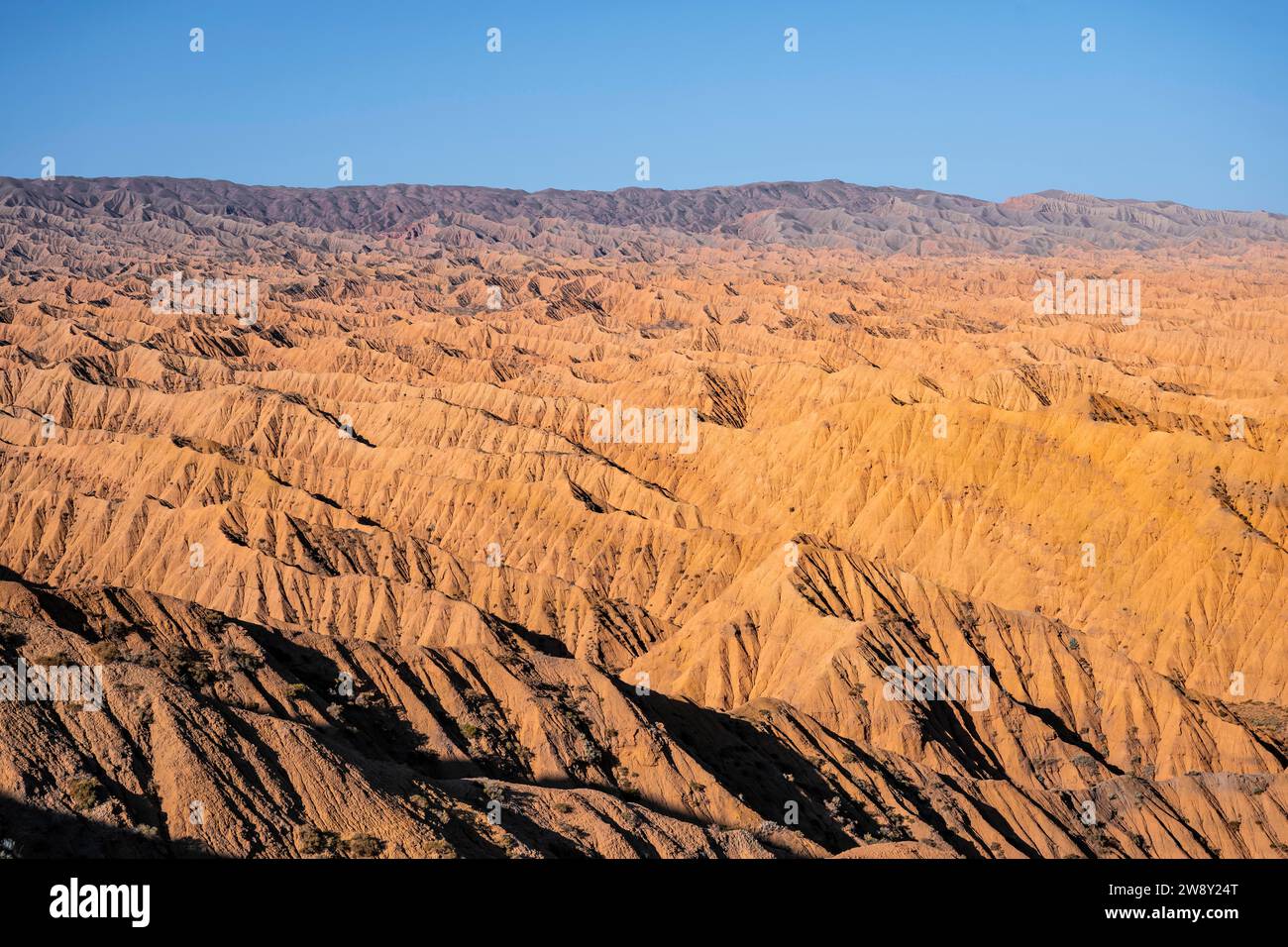 Landscape of eroded hills, Badlands, Canyon of the Forgotten Rivers ...