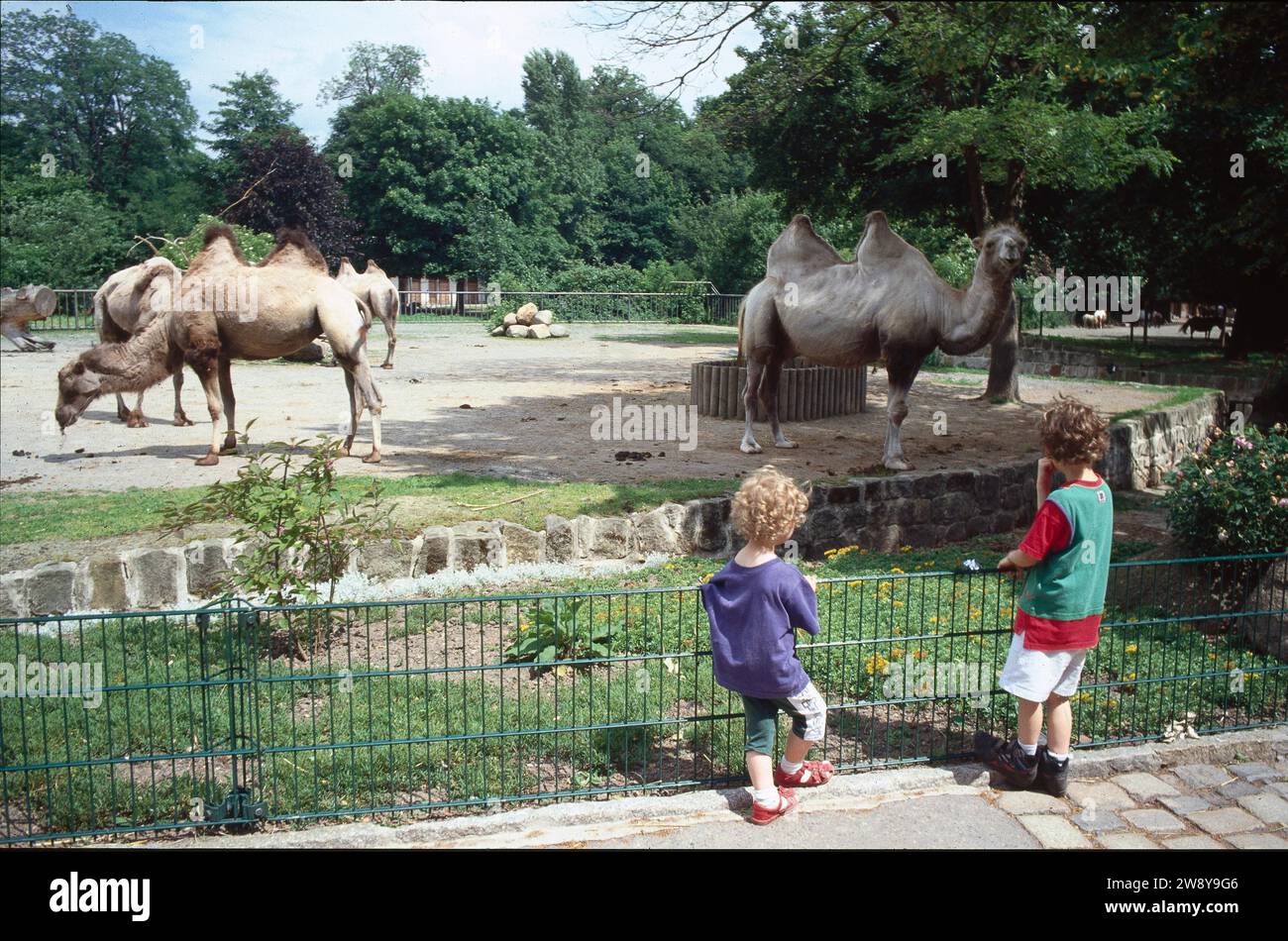 Zoo field people hi-res stock photography and images - Alamy