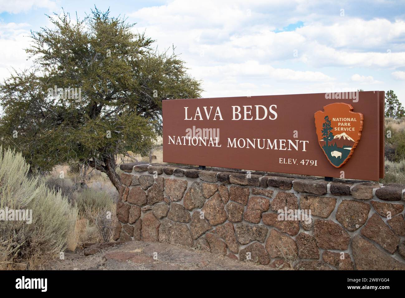 Entrance sign next to a large mountain mahogany tree, Lava Beds National Monument. Stock Photo