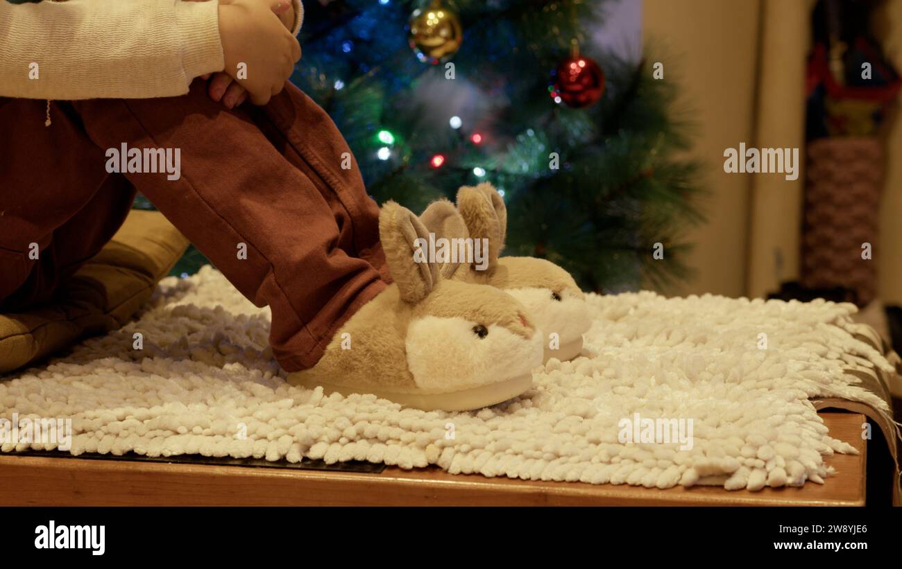 Real genius bunny slippers sales