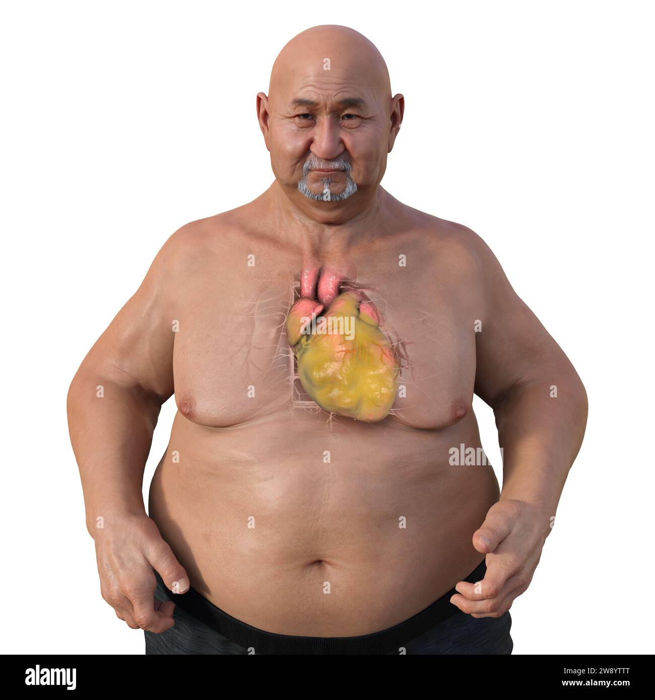Fat man belly hi-res stock photography and images - Alamy