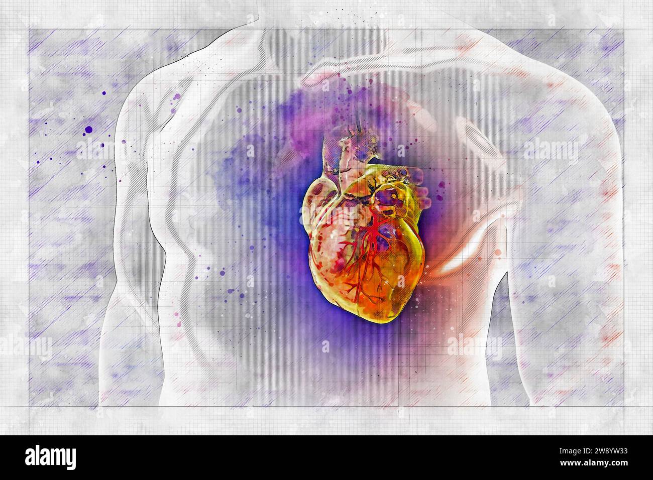 Human heart with blood vessels, illustration Stock Photo