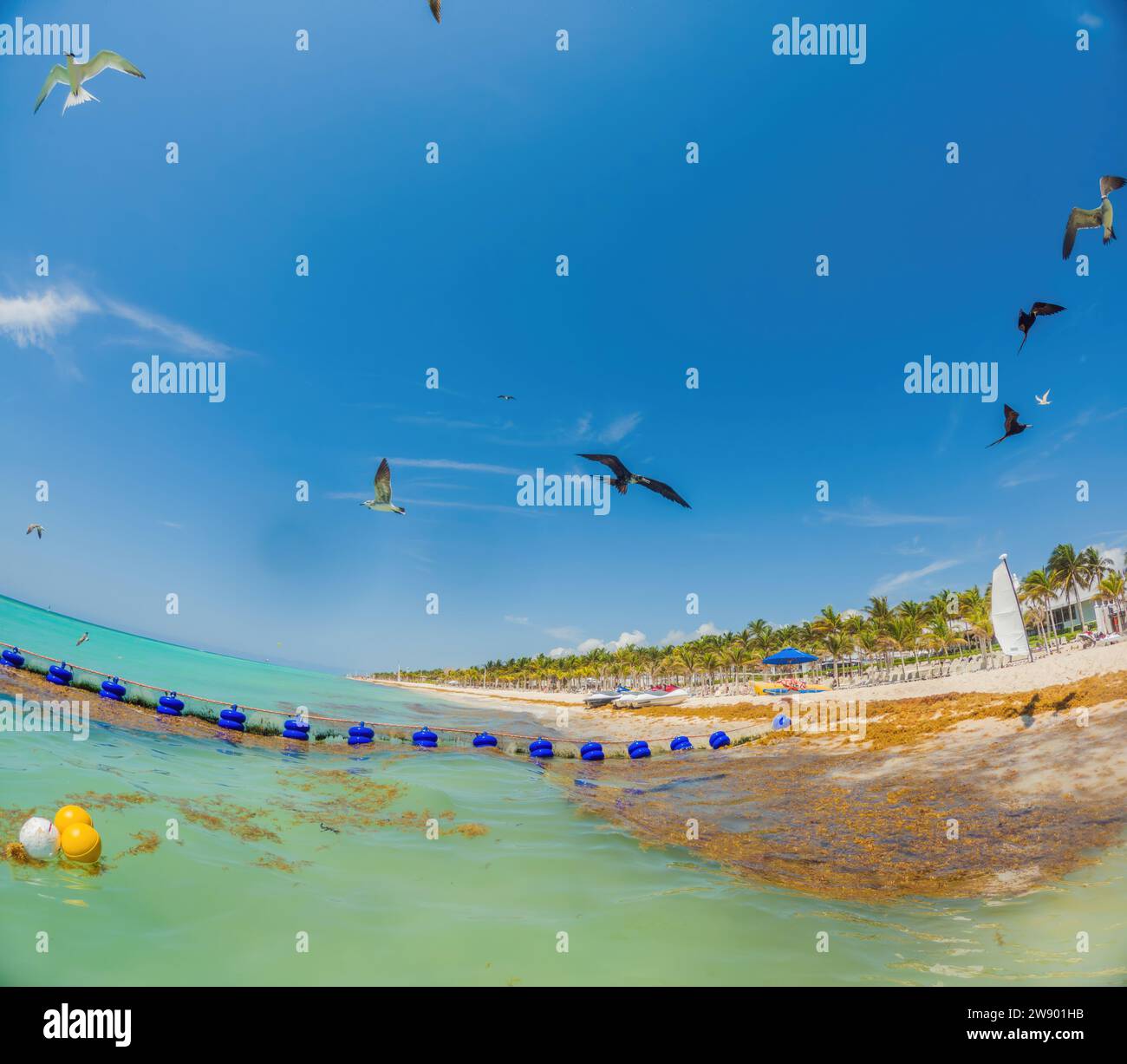 The beautiful Caribbean beach totally filthy and dirty the nasty ...