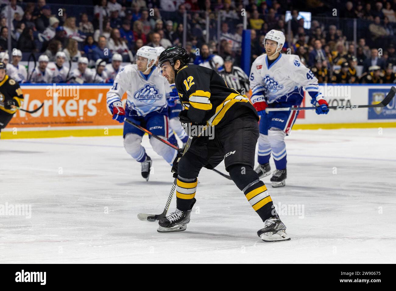 Rochester, New York, Usa. 22nd Dec, 2023. Providence Bruins Forward 