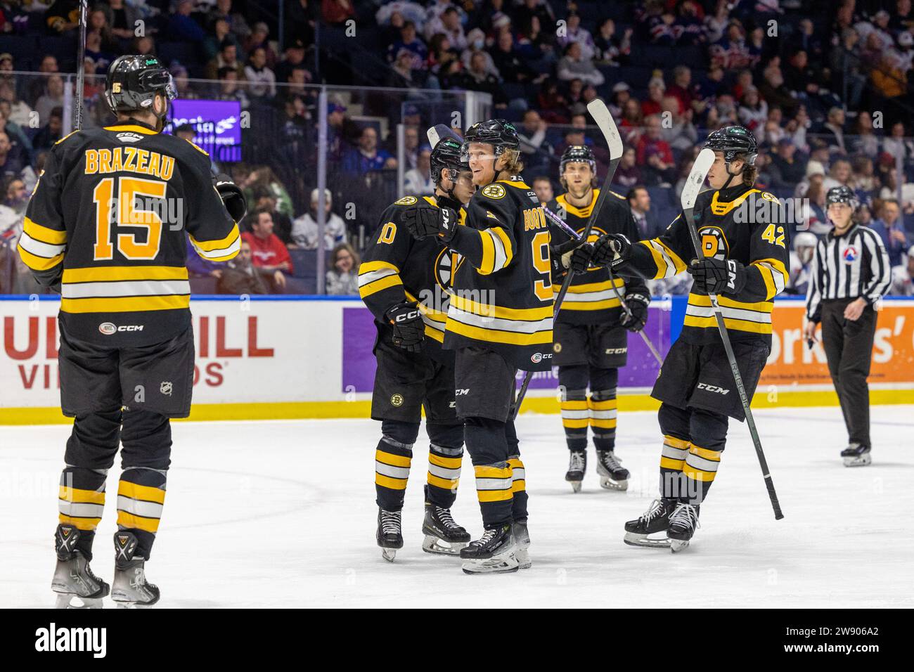 Rochester, New York, USA. 22nd Dec, 2023. Providence Bruins forward