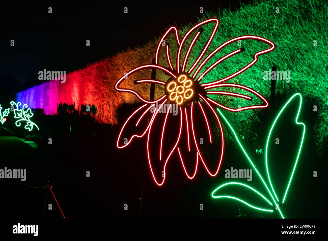 Christmas lights at Edinburgh Botanic Gardens Stock Photo Alamy