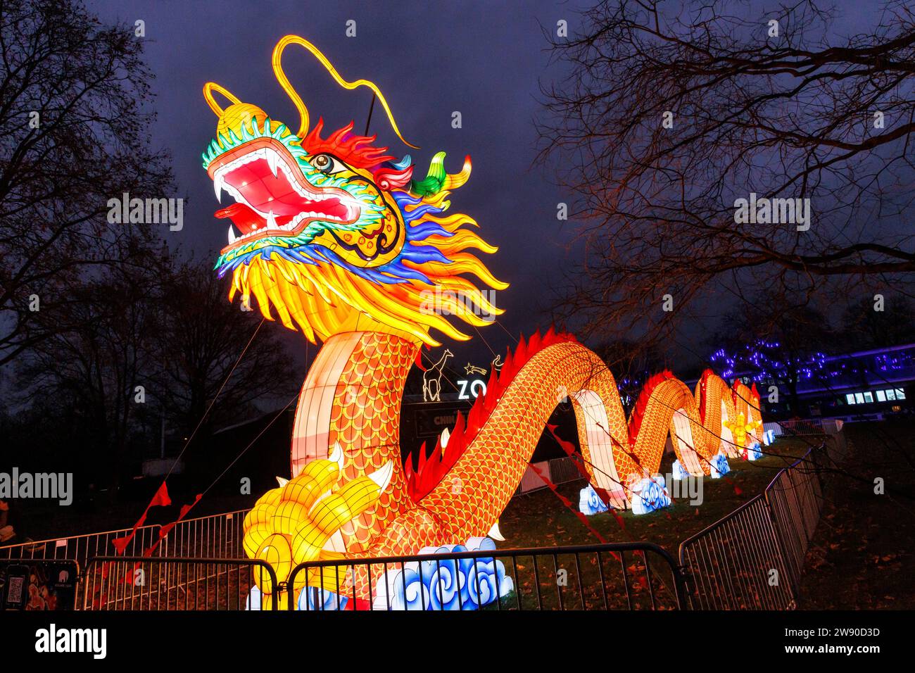 a large illuminated dragon advertises the China Lights Festival at Cologne Zoo, Cologne, Germany. ###EDITORIAL USE ONLY###  ein grosser beleuchteter D Stock Photo