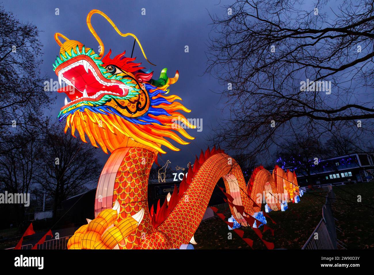 a large illuminated dragon advertises the China Lights Festival at Cologne Zoo, Cologne, Germany. ###EDITORIAL USE ONLY###  ein grosser beleuchteter D Stock Photo