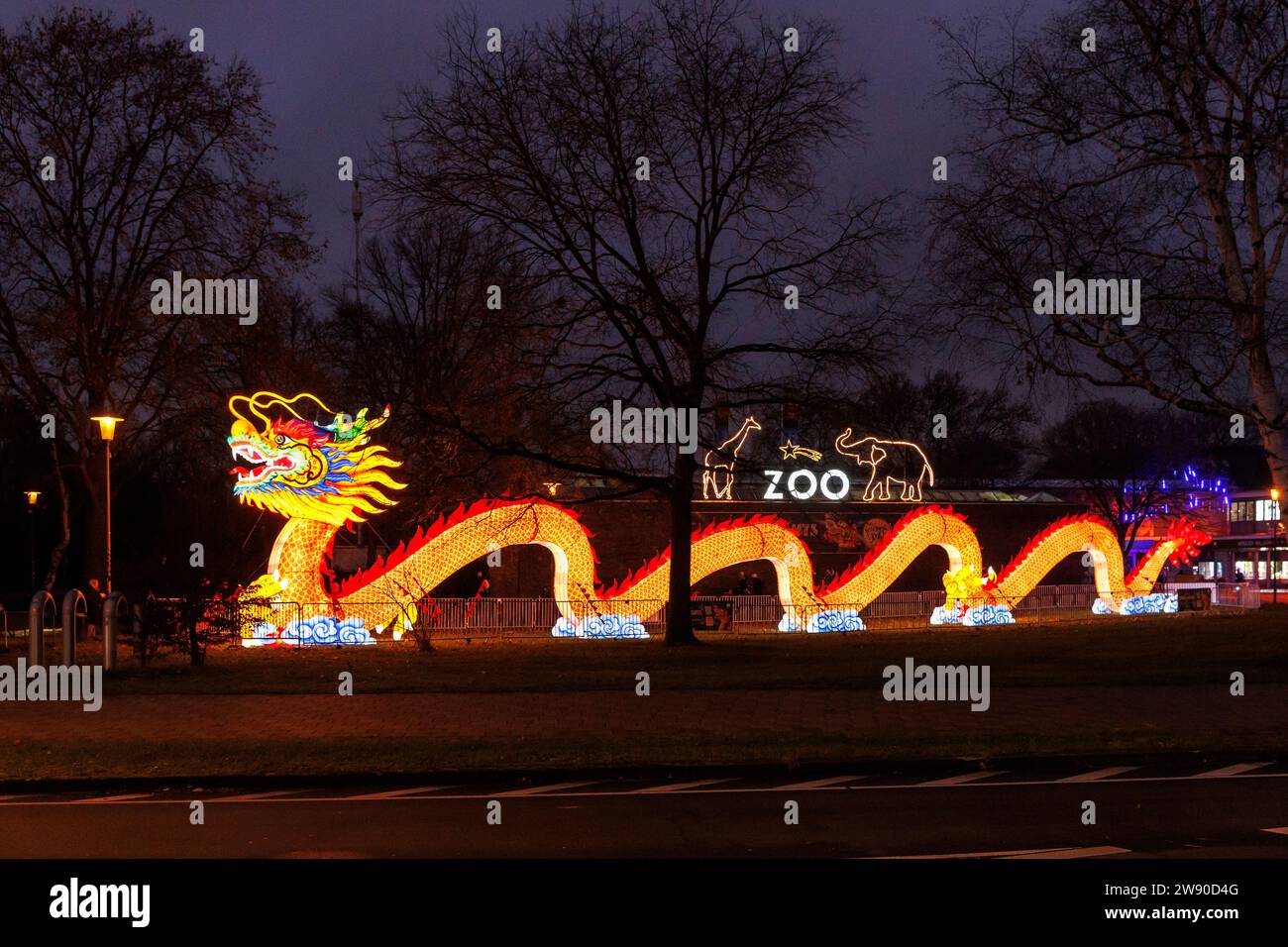 a large illuminated dragon advertises the China Lights Festival at Cologne Zoo, Cologne, Germany. ###EDITORIAL USE ONLY###  ein grosser beleuchteter D Stock Photo