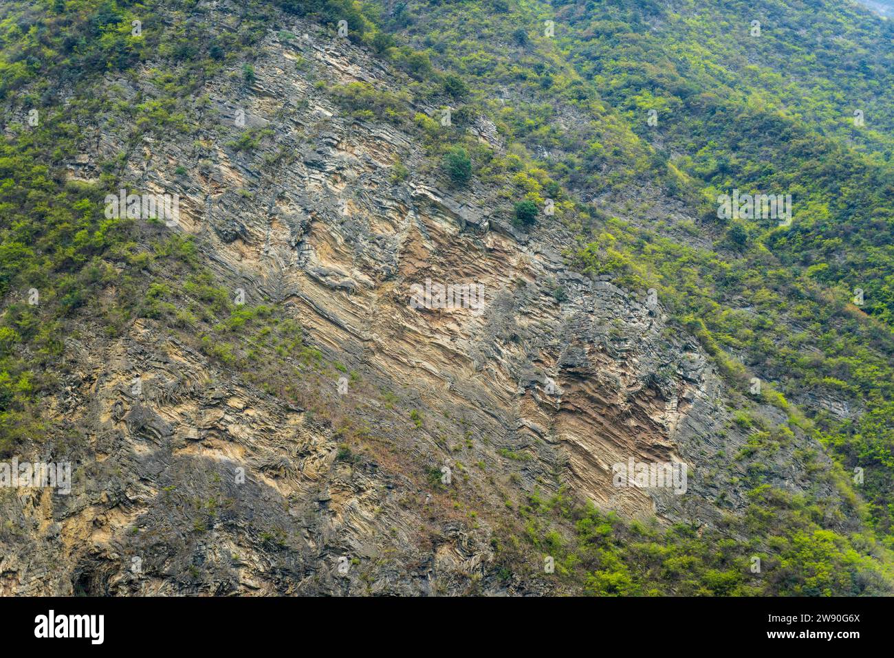 See intricate rock formations dotted with greenery up close at China's ...