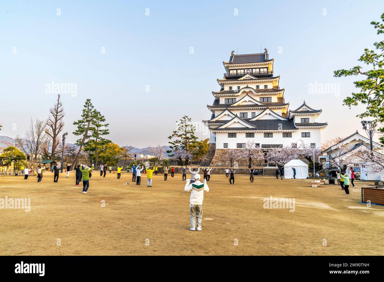 Fukuyama castle, Japan. Old people taking part in a group exercise session in front of the newly restored white borogata style keep just after sunrise Stock Photo