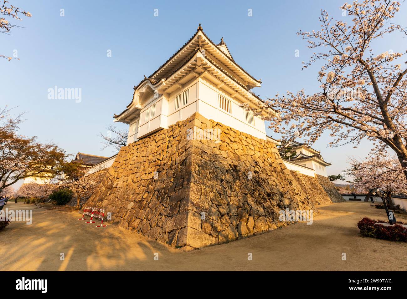 Fukuyama castle in Japan. Wide angle view, Ishigaki stone walls, Tsukimi yagura, turret and cherry blossoms against blue sky, lit up by sunrise light. Stock Photo