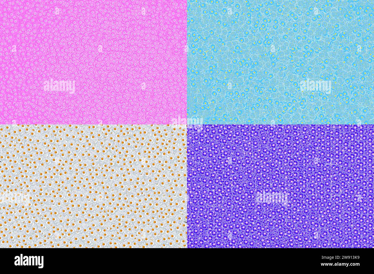 lots of blossoms, flowers, as a background, (Myosotis