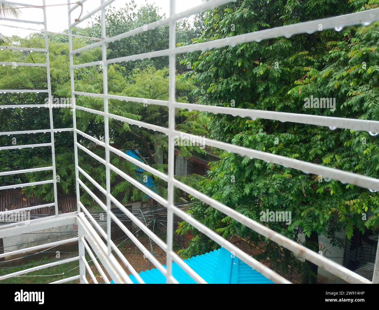 A white railing with trees in the background Stock Photo - Alamy