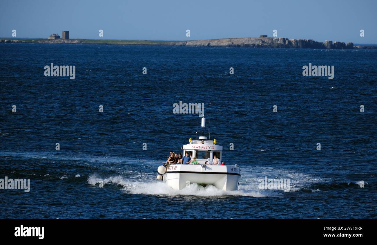 The Farne Islands are a group of islands off the coast of