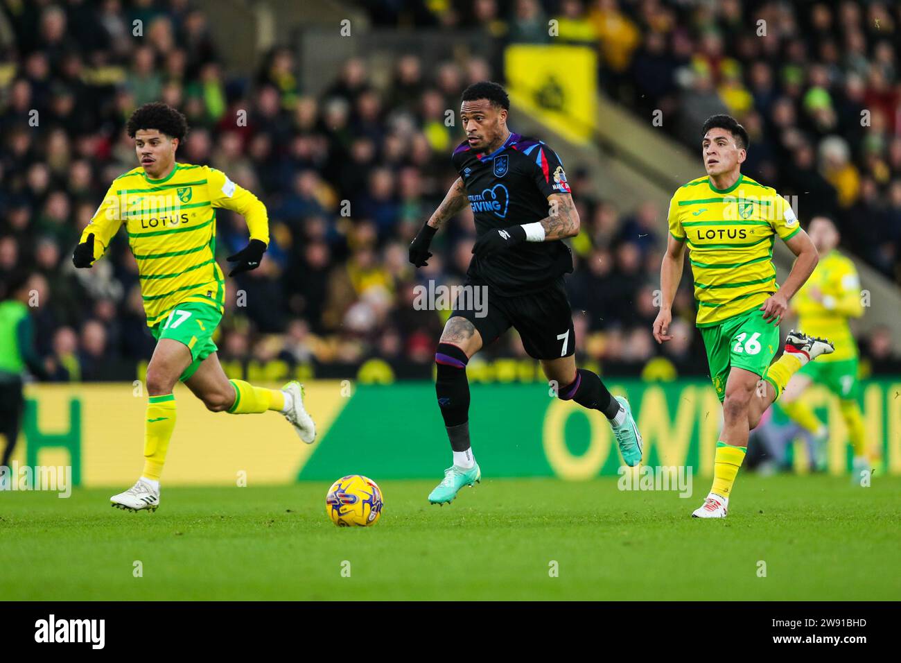 Sara nunez hi-res stock photography and images - Alamy