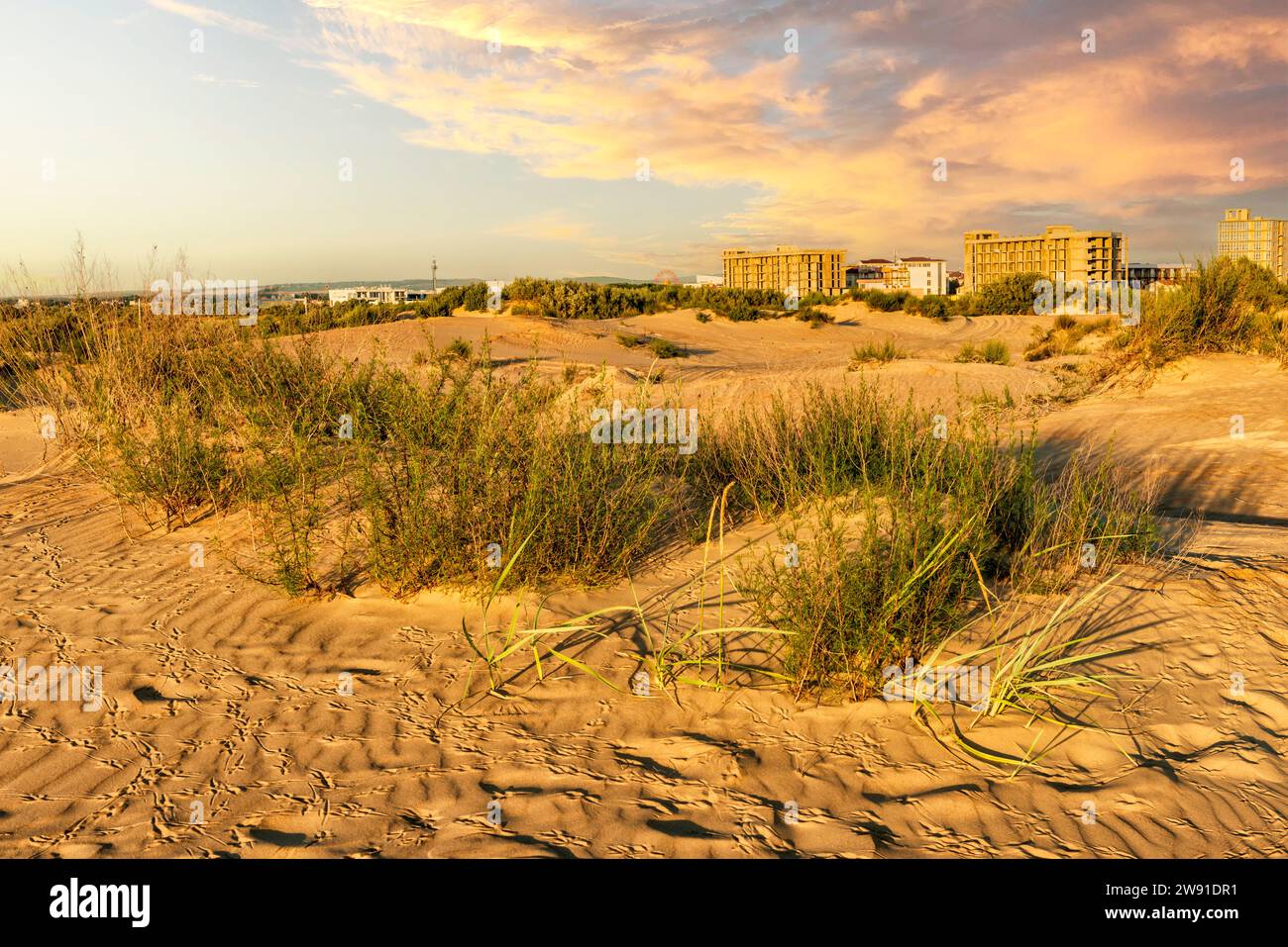 Sand dunes on the outskirts of the city Stock Photo