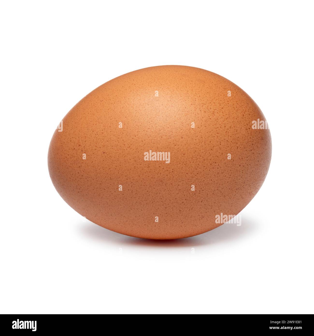 Single fresh raw brown chicken egg isolated on white background close up Stock Photo