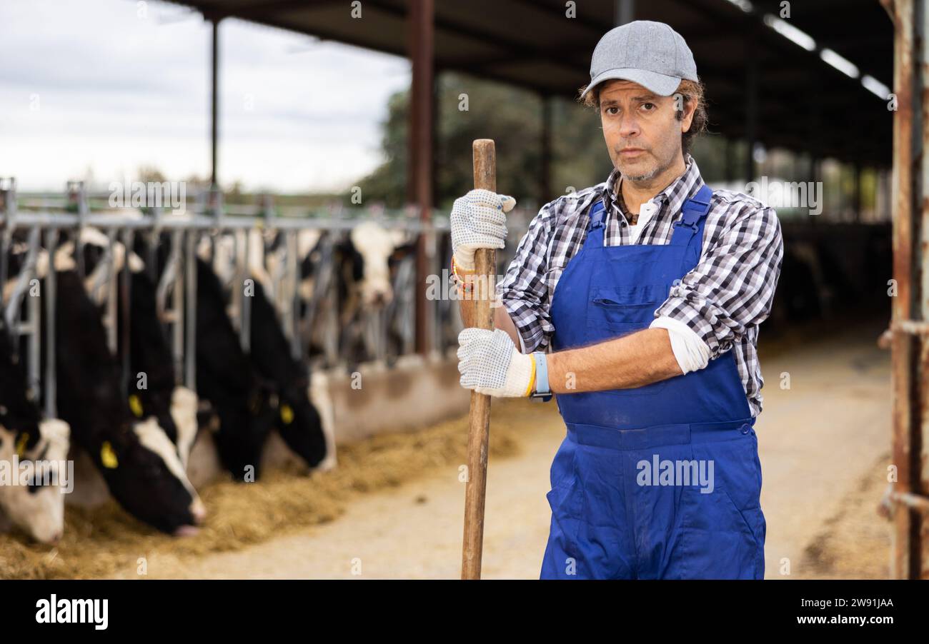 Farmer Man Rake Mexican farmer cows hi-res stock photography and images - Alamy