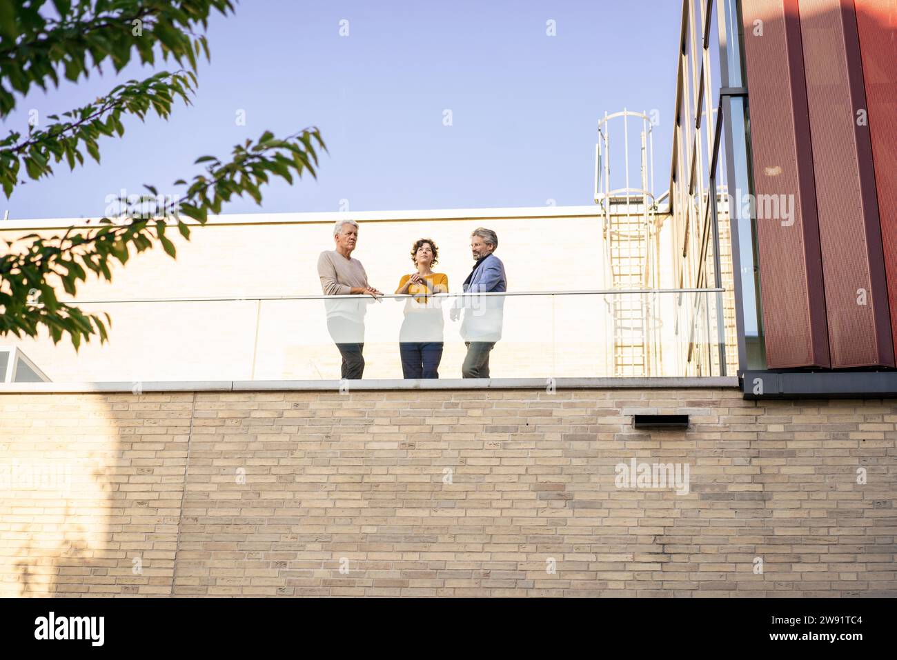 Business people discussing together on balcony at sunny day Stock Photo