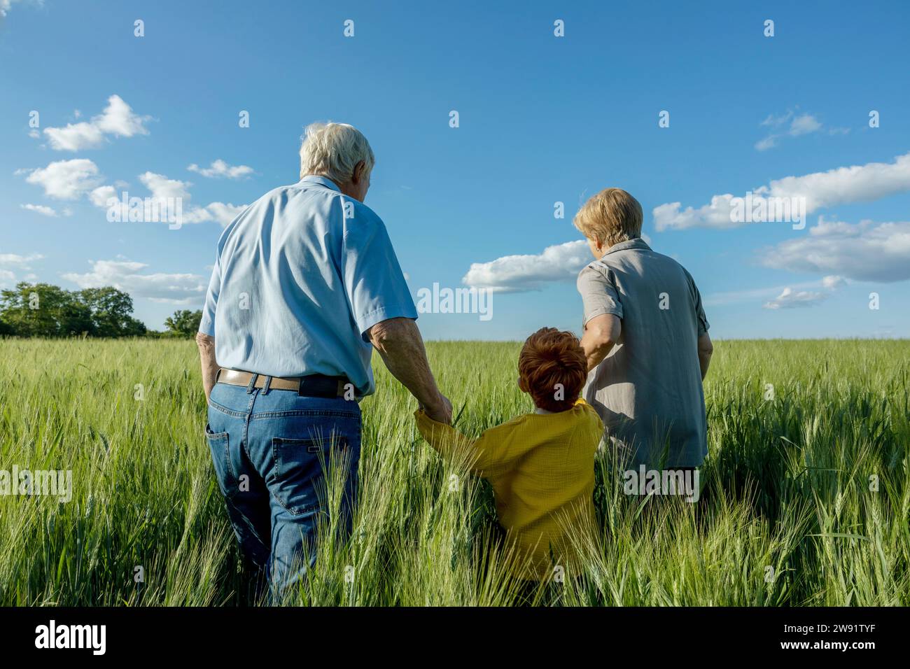 Elderly couple holding hands of grandson walking in field Stock Photo
