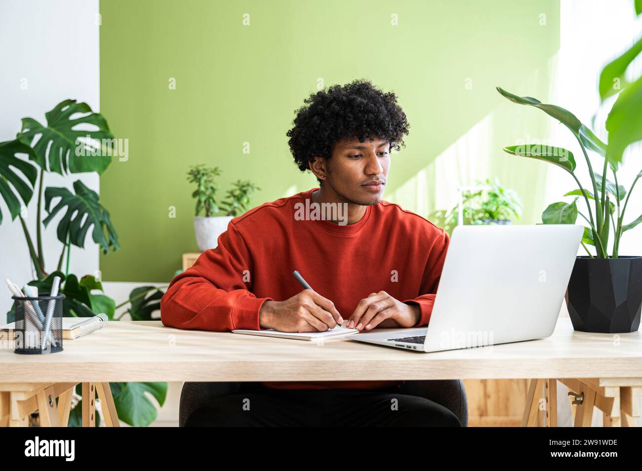 Freelancer taking down notes using laptop sitting at desk in home office Stock Photo