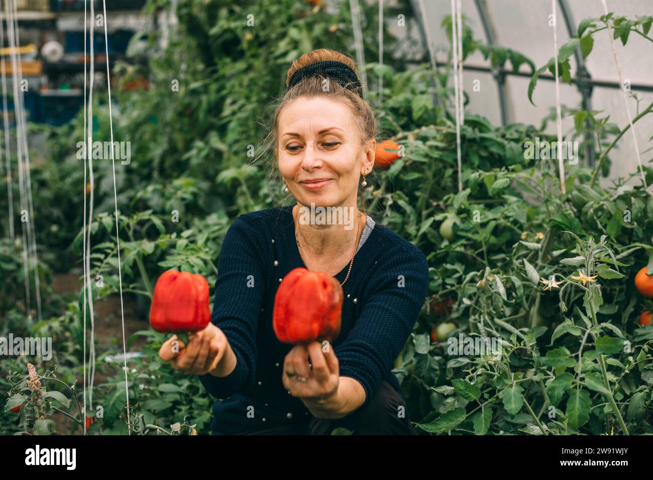 Smiling woman holding red bell peppers in greenhouse Stock Photo