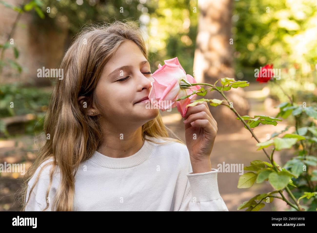 Smiling girl smelling pink rose flower in park Stock Photo