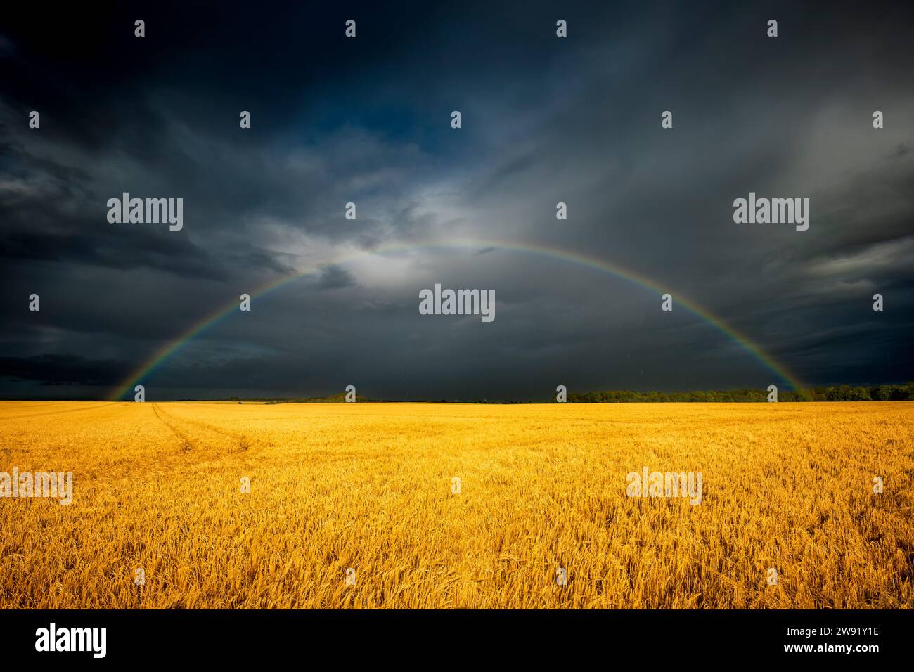 UK, Scotland, Rainbow arching against dark storm clouds over vast ...