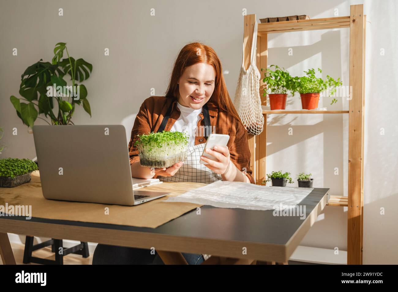 Smiling botanist using smart phone with laptop on desk at home office Stock Photo