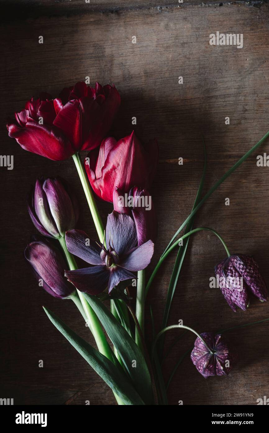 Freshly picked tulips, snakes head fritillaries (Frittilaria meleagris) and Persian lilies (Frittilaria persica) Stock Photo