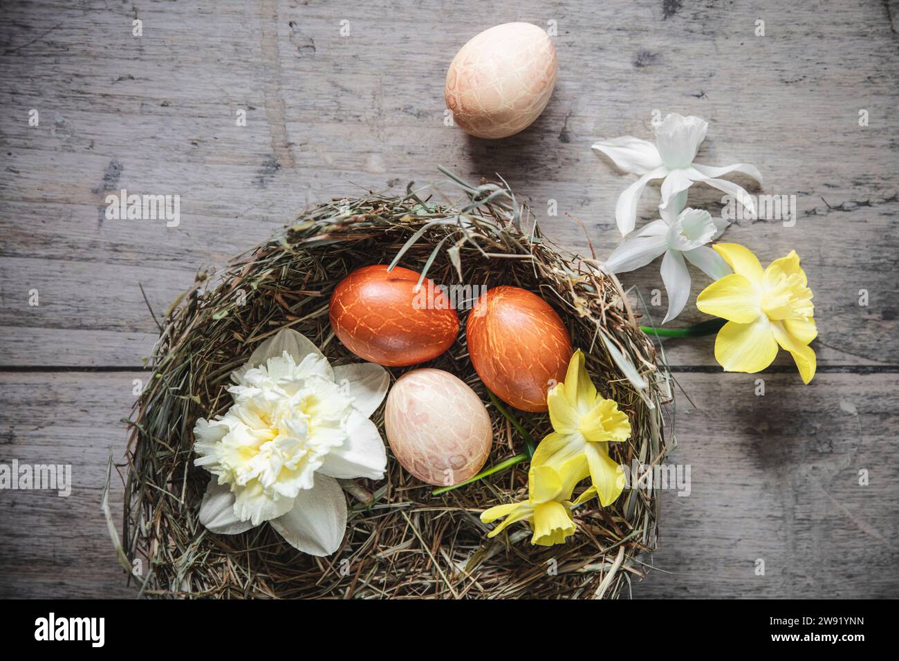 Easter eggs and daffodil heads in decorative nest Stock Photo