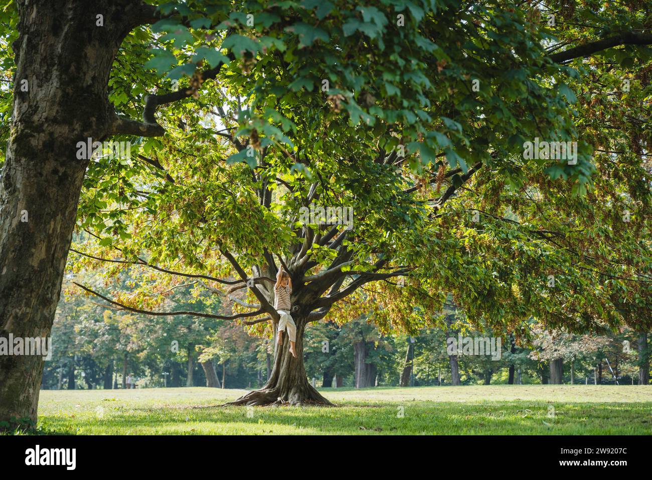 Playing hanging tree park hi-res stock photography and images - Alamy