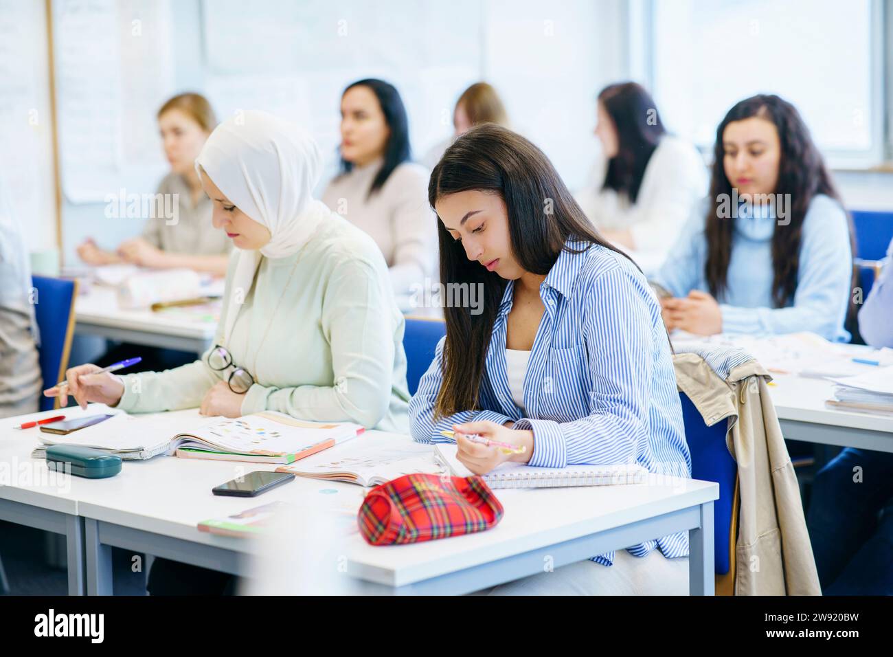 Multi-ethnic friends with books studying at desk in classroom Stock Photo