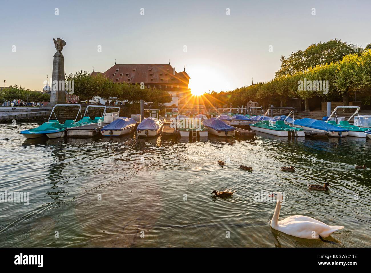 Germany, Baden-Wurttemberg, Konstanz, Swans swimming in harbor on shore of Bodensee at sunset Stock Photo