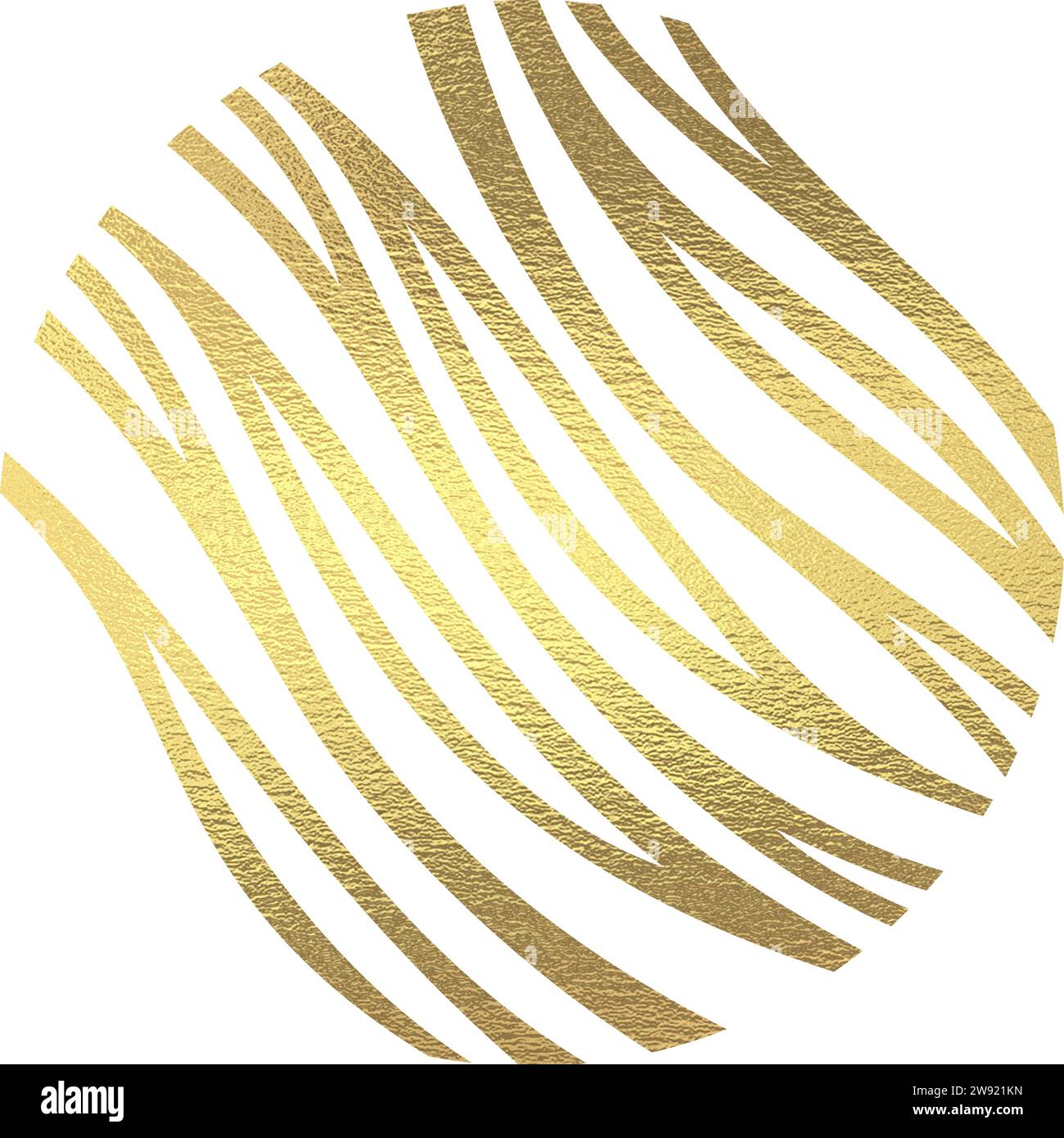 golden zebra pattern circle with transparent background Stock Vector