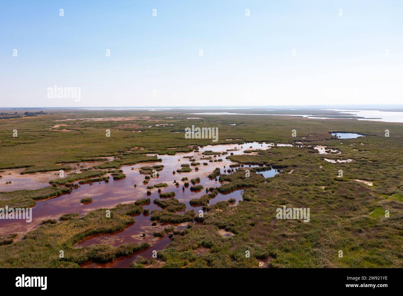 Austria, Burgenland, Drone view of National Park Neusiedler See-Seewinkel Stock Photo