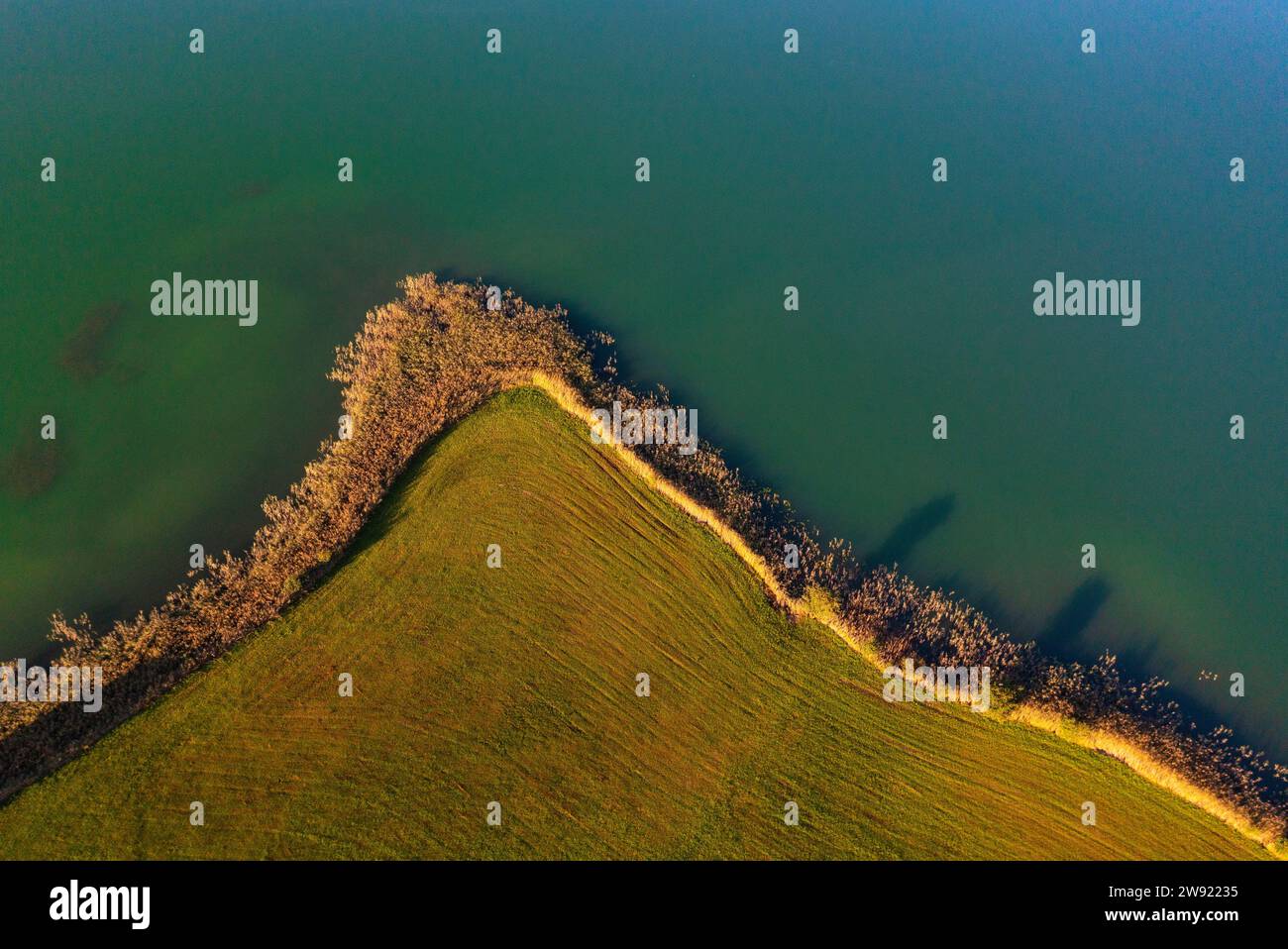Austria, Upper Austria, Zell am Moos, Mowed field on shore of Irrsee lake Stock Photo