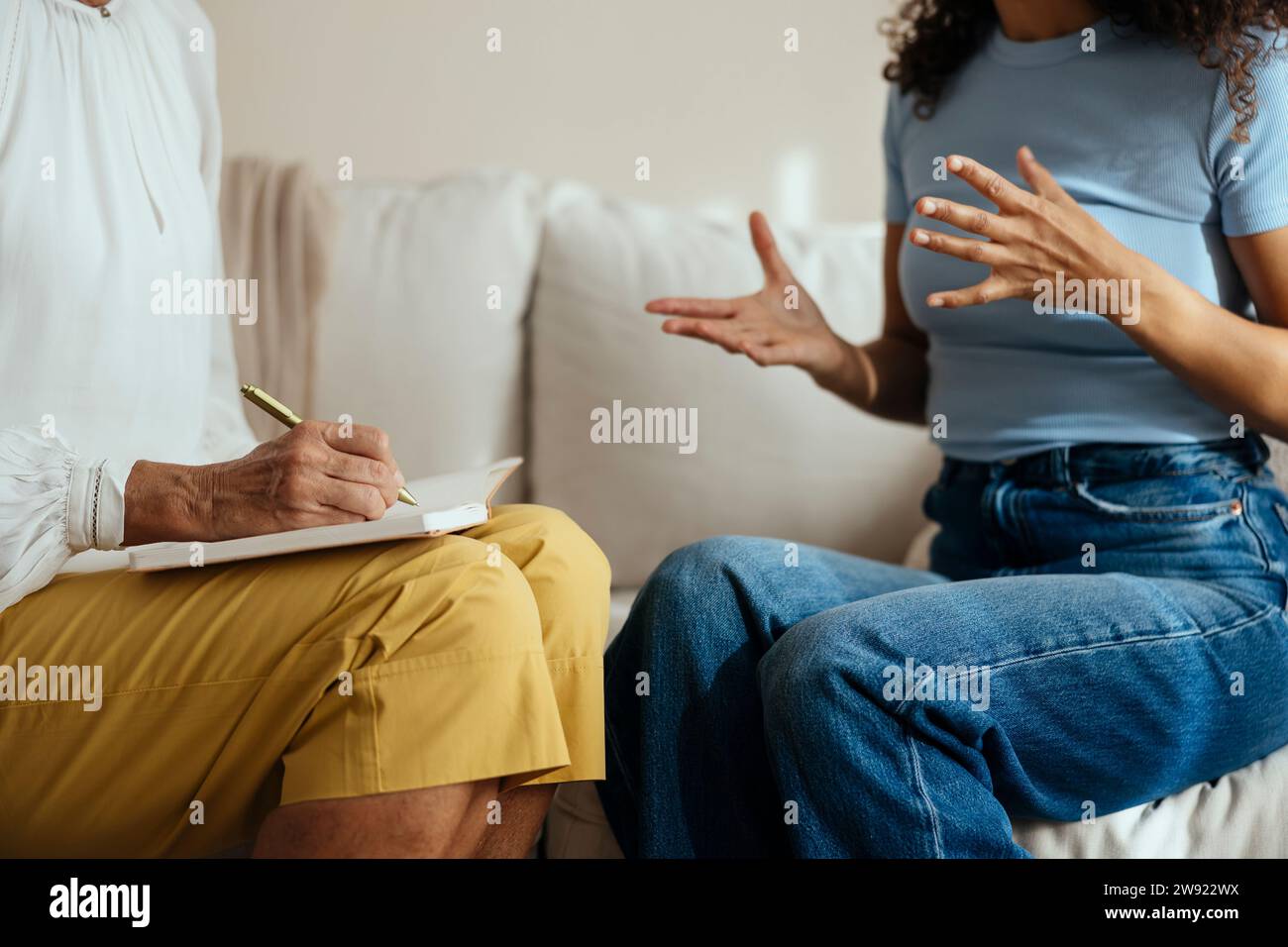 Patient with psychotherapist having consultation meeting at home Stock Photo