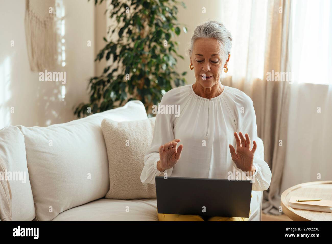 Psychologist having consultation meeting on video call through laptop at home Stock Photo