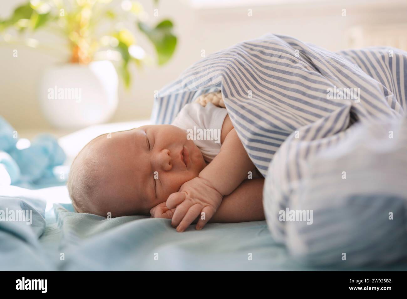 Newborn baby boy sleeping under blanket in bed at home Stock Photo Alamy