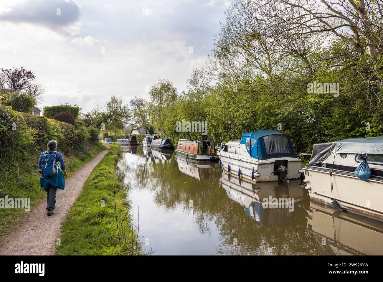 Walking past moored boats on the Brecon and Monmouth canal, Govilon, Wales, UK Stock Photo