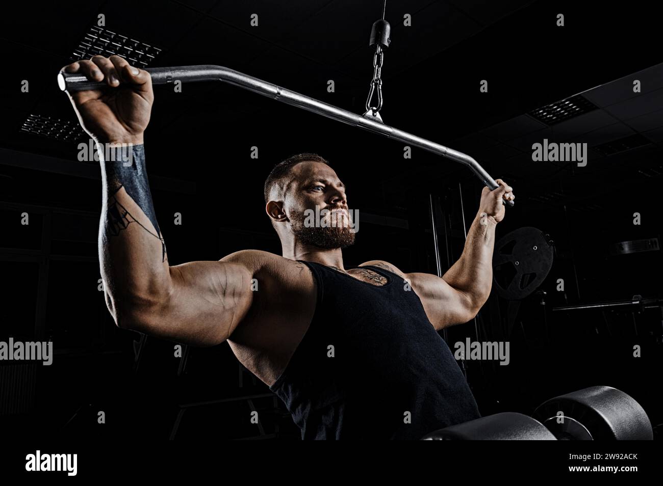 Muscle back muscular fit hi-res stock photography and images - Alamy