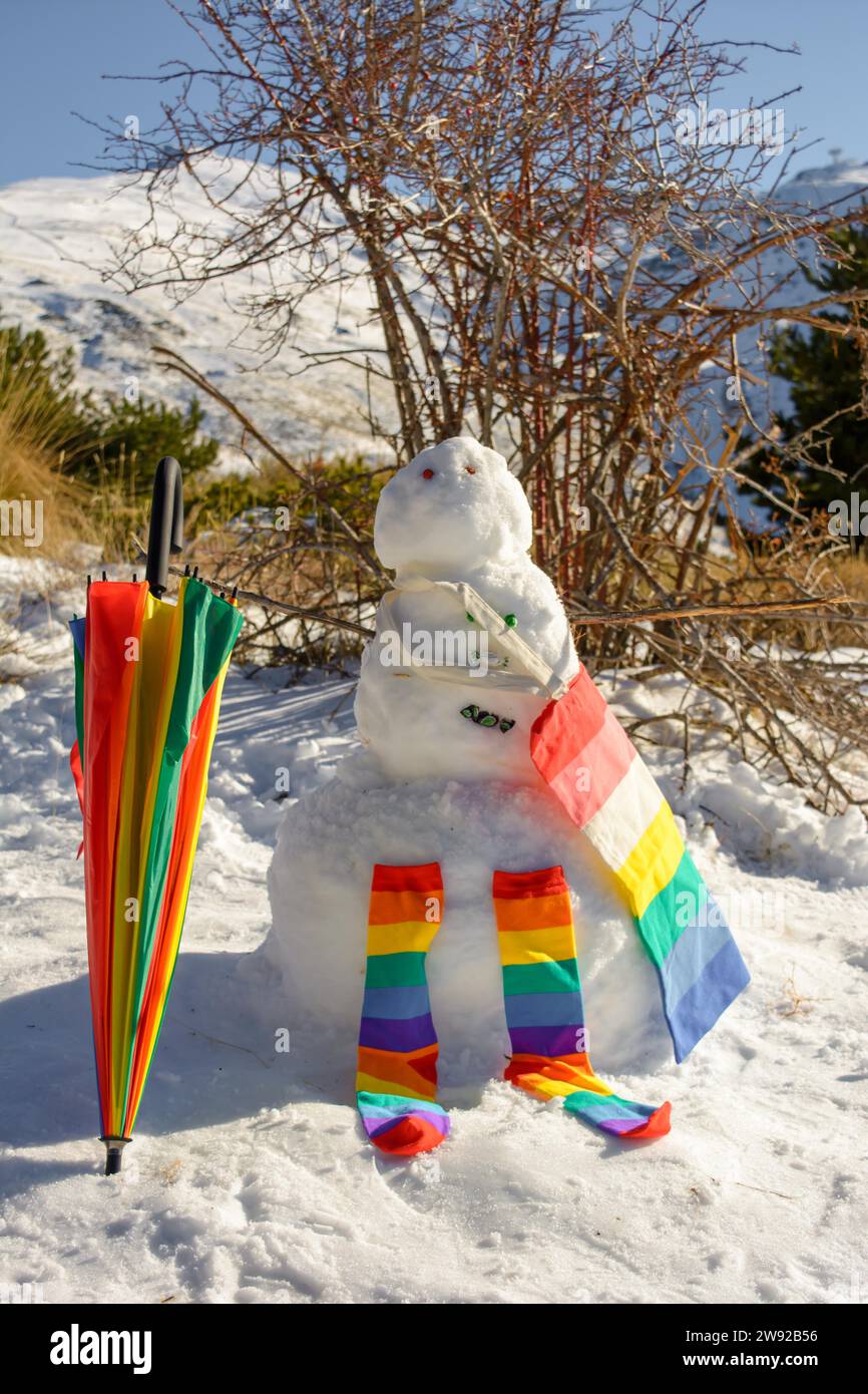 Snowman, with vivid colors in the mountain of sierra nevada Stock Photo