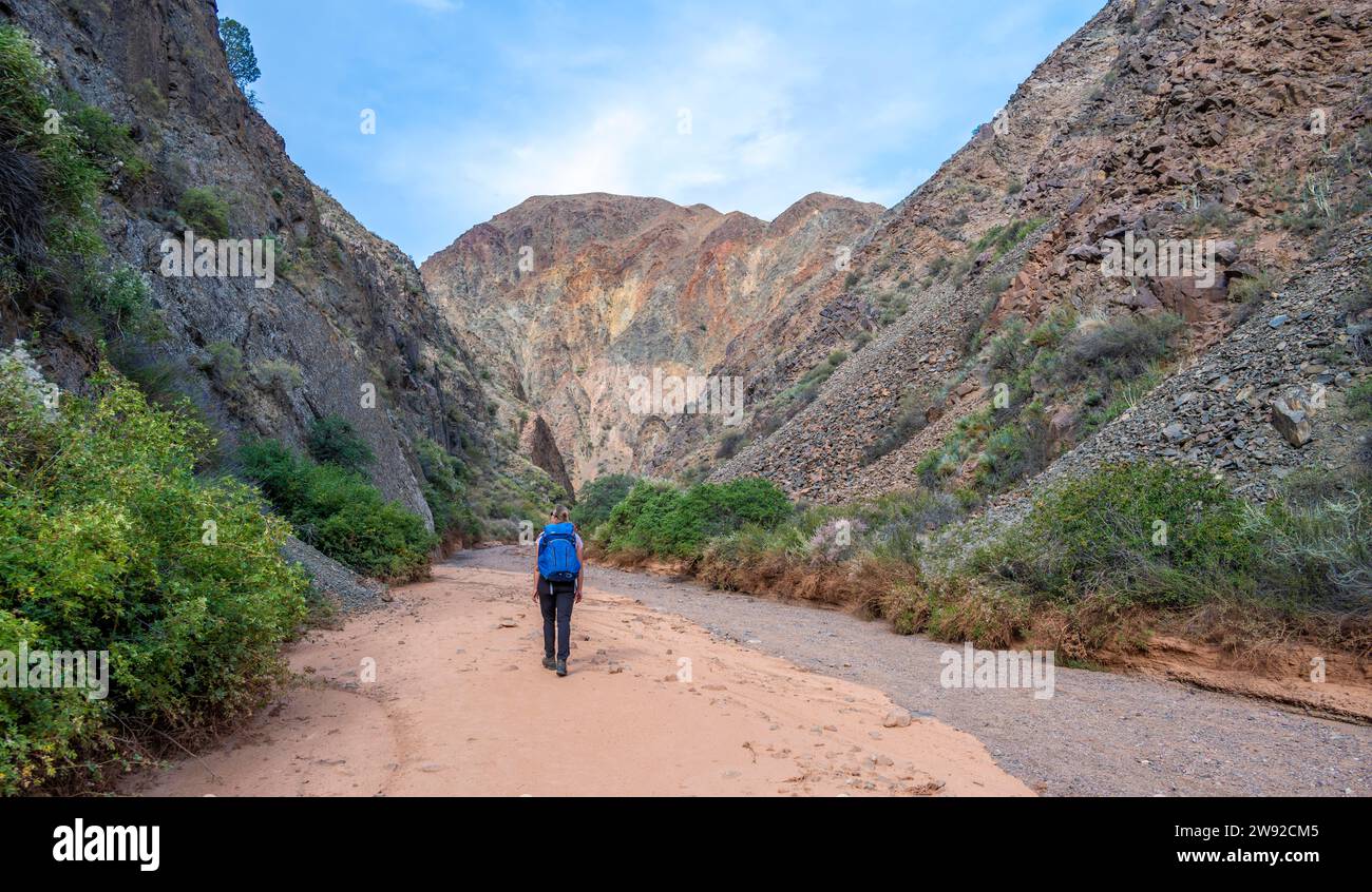 Climber in a canyon with a dry stream bed, mountain landscape with orange mountains, Konorchek Canyon, Chuy, Kyrgyzstan Stock Photo