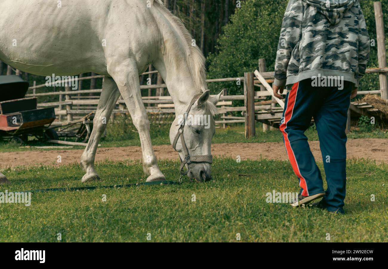 bond between a child and a majestic white horse on a farm, showcasing the positive impact of