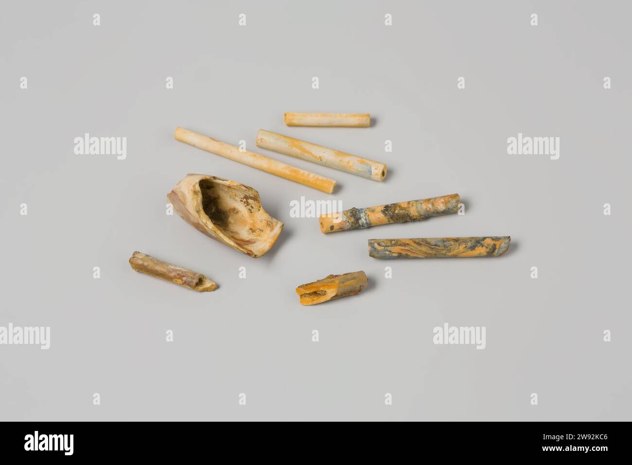 Fragments of a pipe head and pipe stalks from the wreck of the East ...