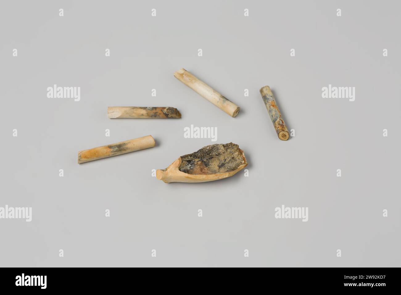 Fragments of a pipe head and pipe stalks from the wreck of the East ...